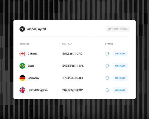 Pay globally. Keep every detail clear.: product interface illustration