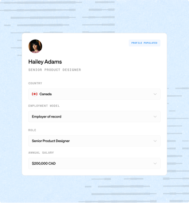 Payroll set up: Bolto interface illustration